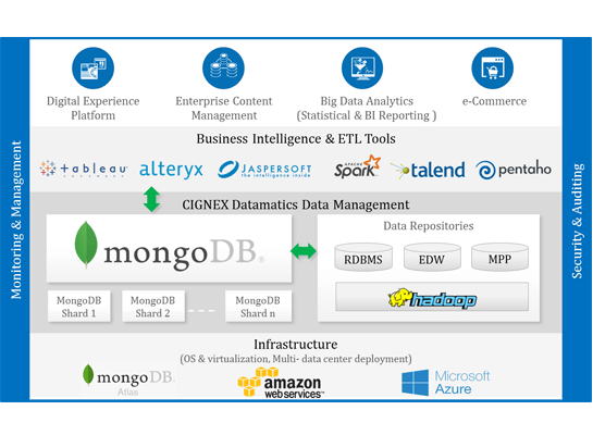 MongoDB Development | e-SoftCube Technology