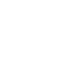 Web Developer